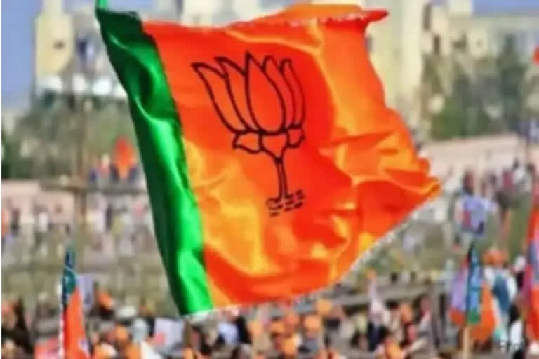 BJP claims to respect all religions amid row over Kanpur spokesperson's comment