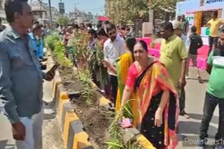 આજે વિશ્વ પર્યાવરણ દિવસ નિમિત્તે જૂનાગઢ મનપાએ કર્યું હજાર વૃક્ષોનું વાવેતર