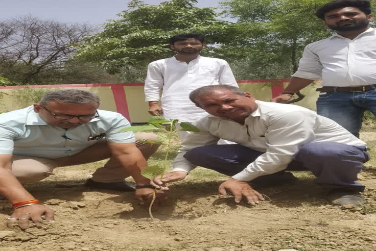 environment day nature lover sanjeev barua