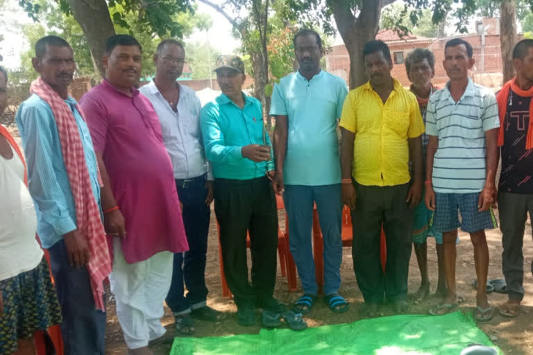 plant saplings in Giridih