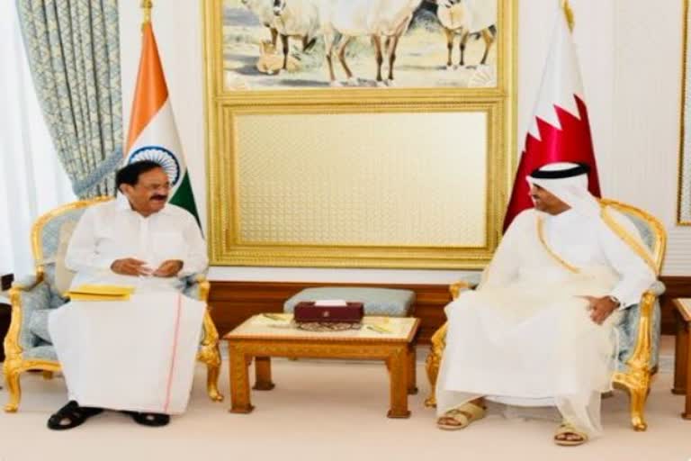 Naidu holds delegation level talks with Prime Minister of Qatar