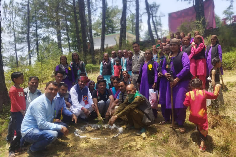 yuva and Mahila Mandal planting trees in Karsog