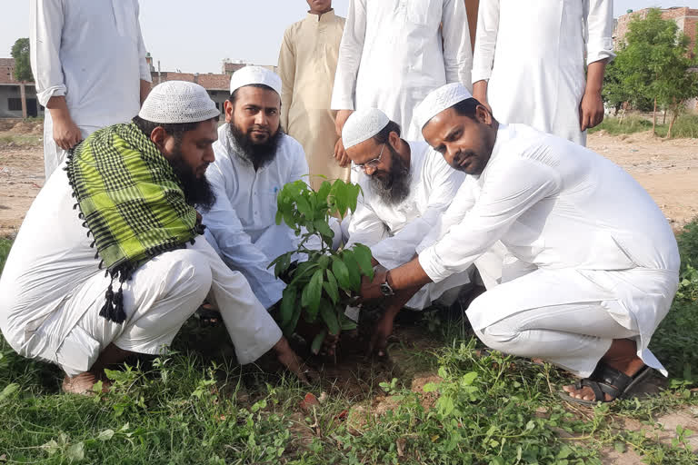 Plantation Drive in Madarsa