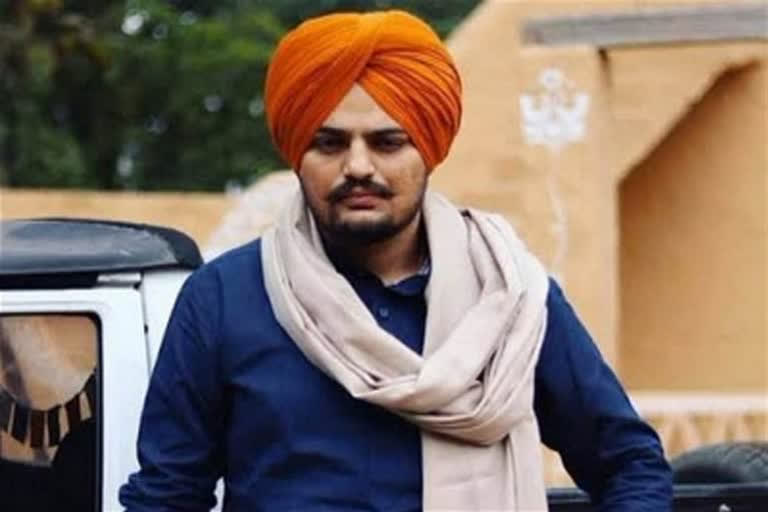 mansa singer shot dead in punjab