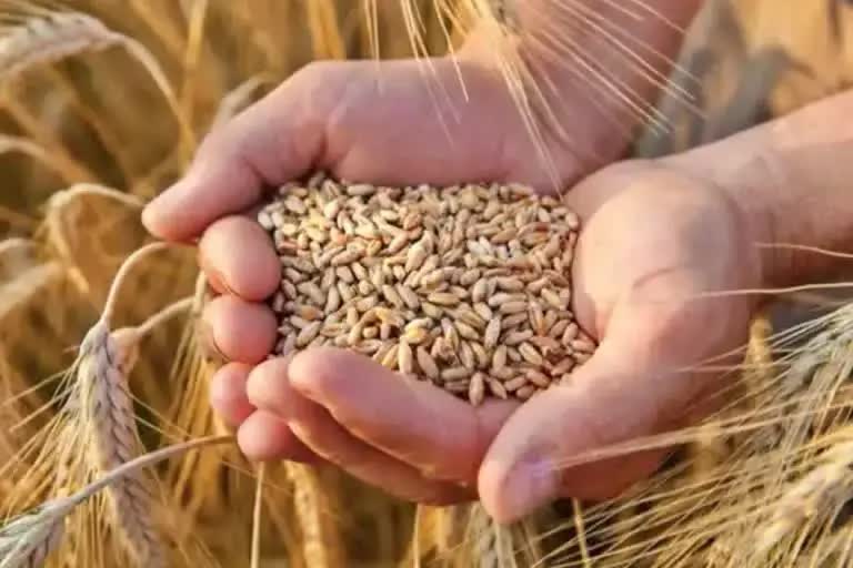 GLOBAL WHEAT PRICES JUMP