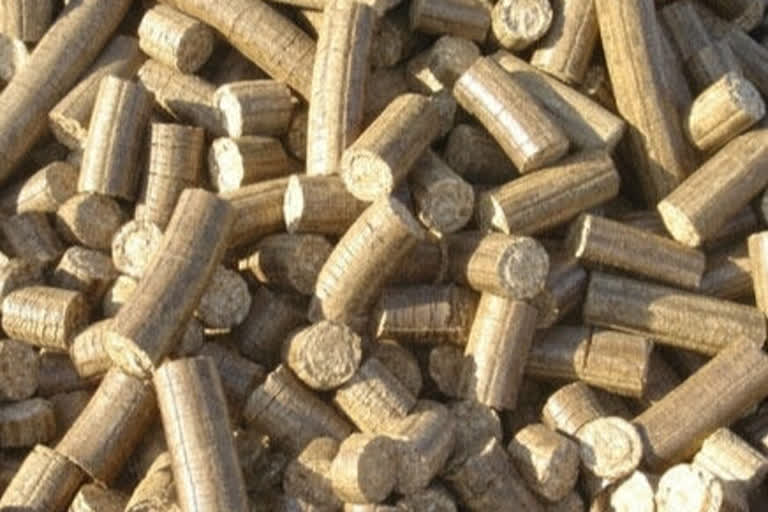 briquettes biomass is now used instead of wood in mumbai cemeteries