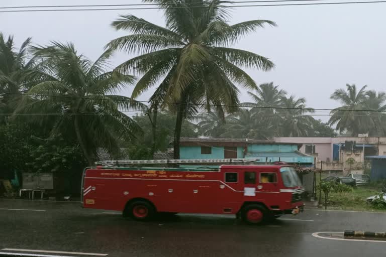 ತೆಂಗಿನ ಮರಕ್ಕೆ ಸಿಡಿಲು ಬಡಿದು ಧಗ ಧಗನೆ ಉರಿದ ಮರ