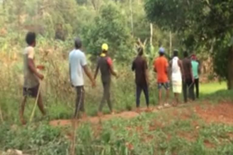 villagers protect the forest in koraput