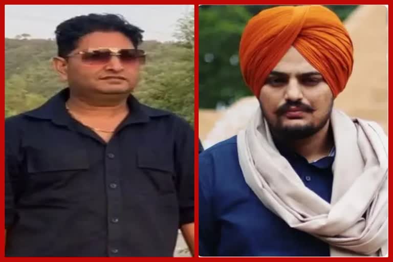 Sidhu MooseWala Murder: ફતેહાબાદ સાથે સતત હત્યાના તાર મળી રહ્યા, પંજાબ પોલીસે વધુ 1 ઝડપી પાડ્યો