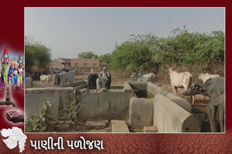 Banaskantha water problem: સરકારે કરોડો રૂપિયાની ગ્રાન્ટ ખર્ચી છતાં લોકોને પાણી માટે વલખા મારવા મજબુર