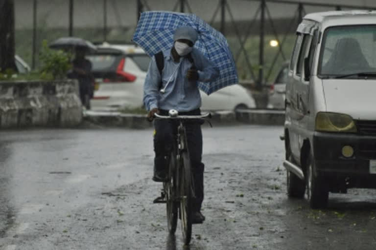 rain updates in kerala  kerala weather updates  സംസ്ഥാനത്ത് കനത്ത മഴ തുടരും  കേരളം മഴ  മഴ വാർത്ത  സംസ്ഥാനത്തെ മഴ വാർത്ത  rain news  ഏഴു ജില്ലകളിൽ ഇന്ന് യെല്ലോ അലർട്ട്  യെല്ലോ അലർട്ട് പ്രഖ്യാപിച്ച ജില്ലകൾ