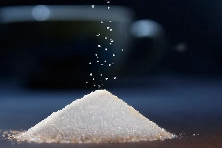 ISMA on india sugar exports