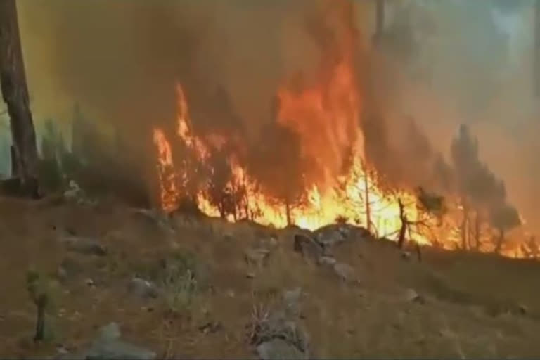 Forest fire breaks out near LoC in J-K's Poonch