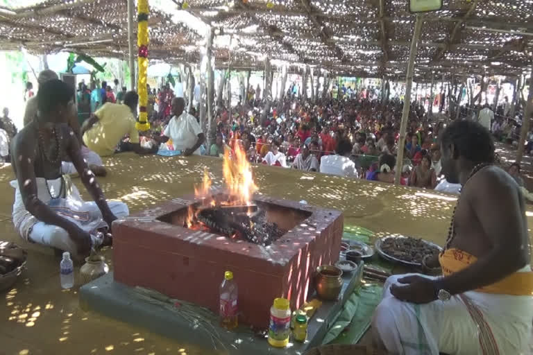 பாலதண்டாயுதபாணி கோயிலில் நடந்த சுயம்வரா பார்வதி யாகம்