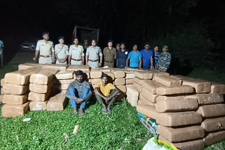 Cannabis seized in Tripura