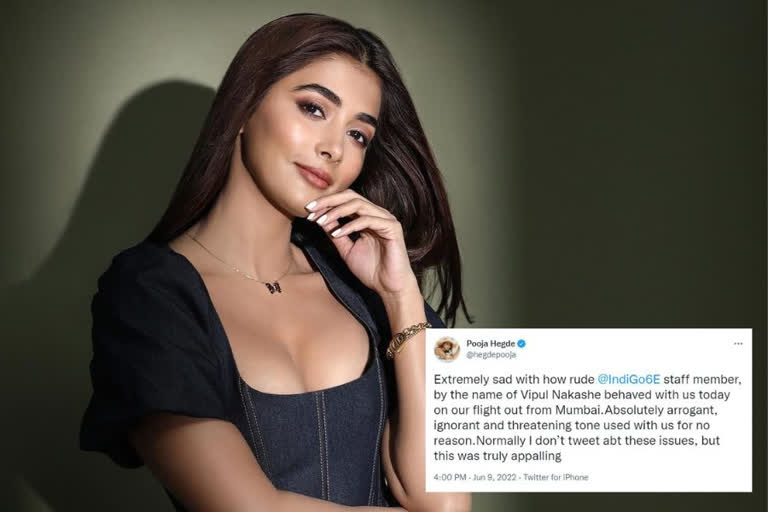 Pooja Hegde lambasts IndiGo staffer, Pooja Hegde IndiGo rude behaviour, Pooja Hegde twitter