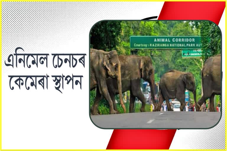 Hitech Sensor Cameras to Monitor Speed Limit in Kaziranga