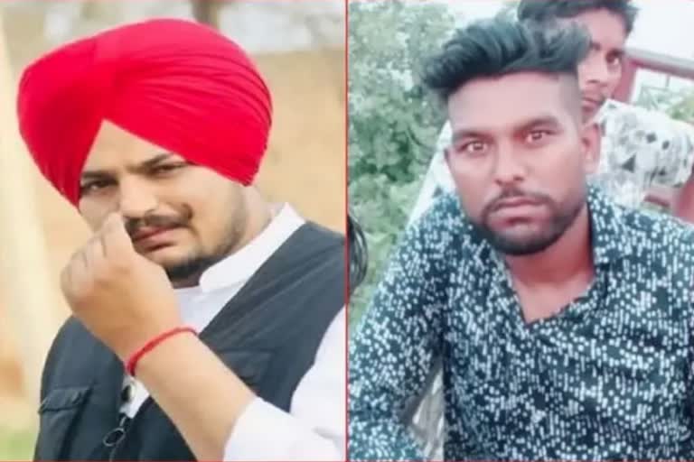 sidhu moose wala murder case update