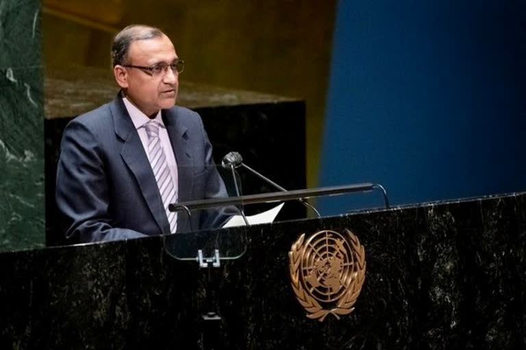 UNGA adopts resolution on multilingualism, mentions Hindi language for first time