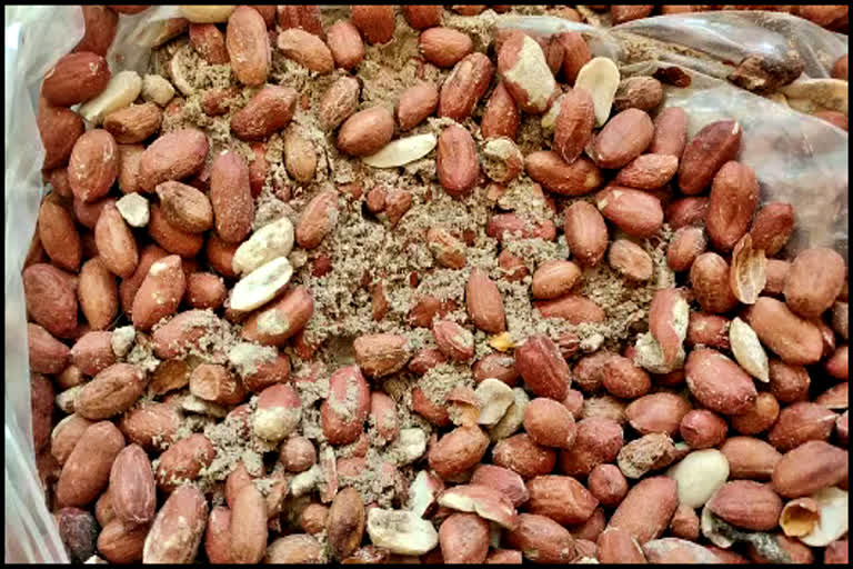 Child Sick After Eating Peanuts In Rewari