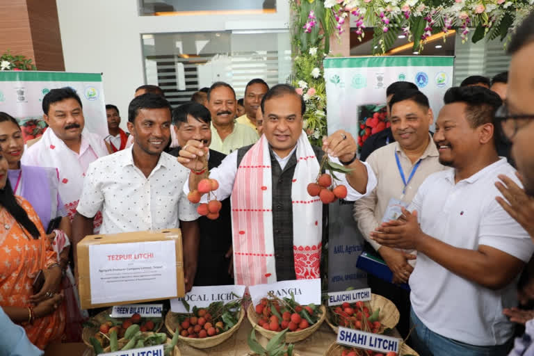 Assam Cm Launches Export Of Tezpur Litchi To London