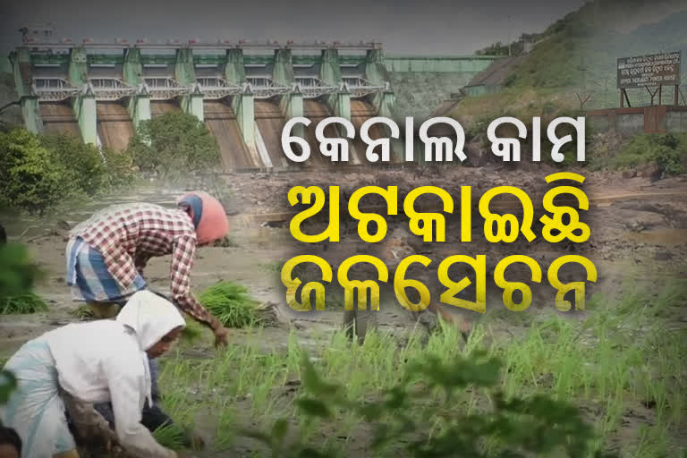 possible Drought situations expected in Kalahandi due to worst Irrigation condition