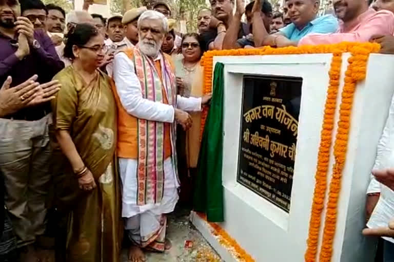 minister ashiwani chaubey inaugurates city Forest in bhagalpur