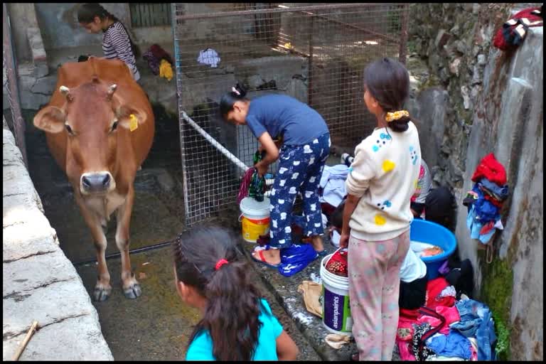 Water Crisis In Shimla