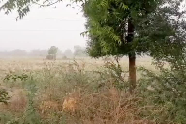 Panchayati land of Ghamdoj village Sohna