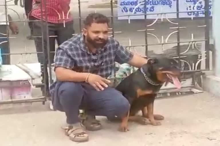 dog-not-allowed-to-watch-777-charlie-cinema-in-davanagere