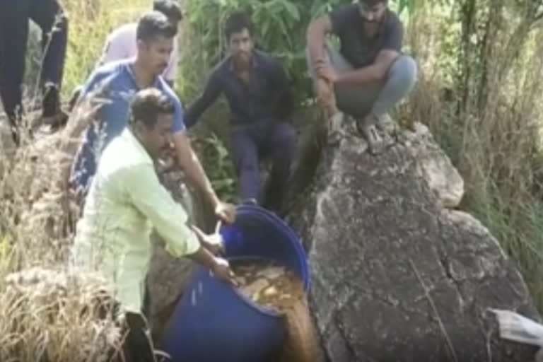 வாணியம்பாடி அருகே 1000 லிட்டர் சாராய ஊரல்கள் அழிப்பு