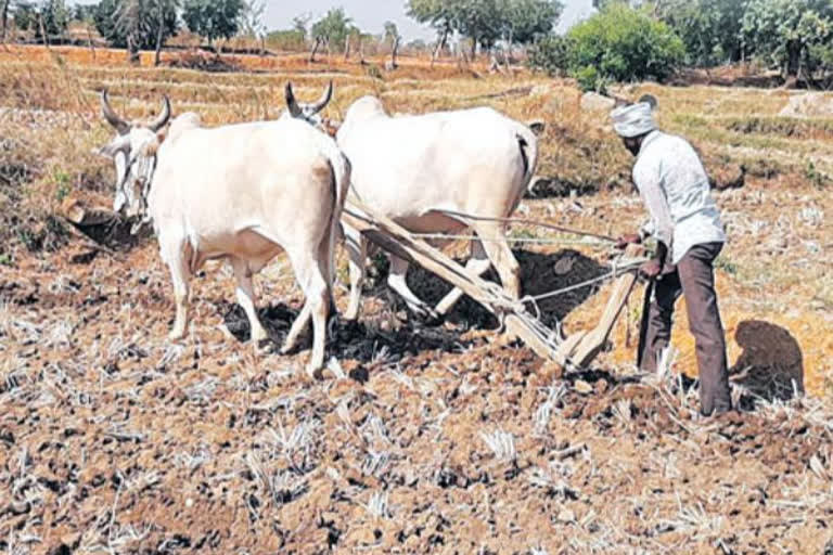 farmers struggle for Investment