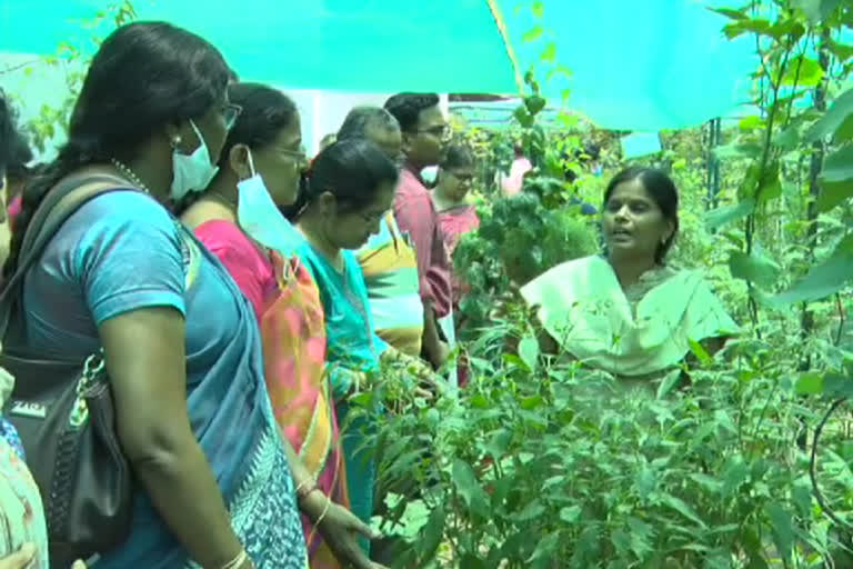 Urban Farming Training