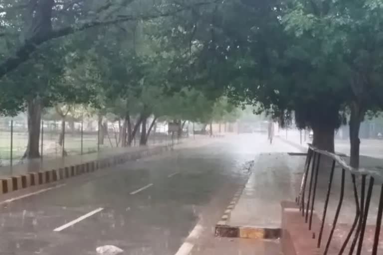 Latest weather news in Haryana