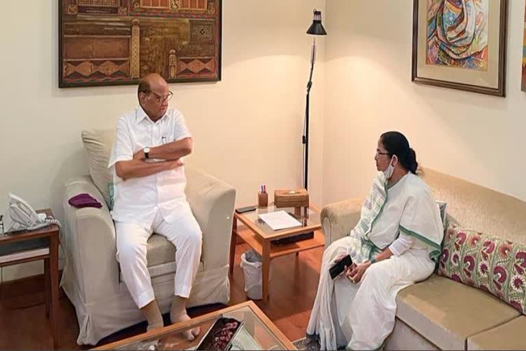 sharad pawar, mamata banerjee