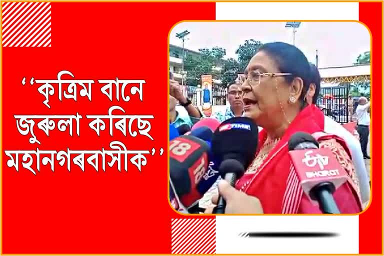 চৰকাৰে কৃত্ৰিম বানপানীৰ সমস্যা সমাধানৰ চেষ্টা কৰি আছে যদিও সফল হ’ব পৰা নাই : কুইন ওজা