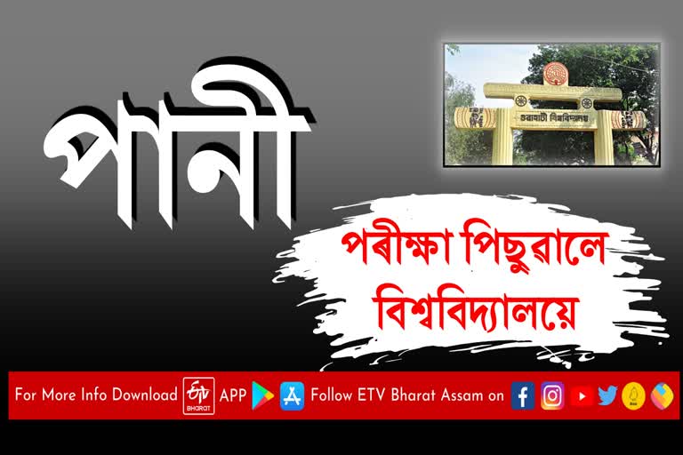 কৃত্ৰিম বানৰ বাবে গুৱাহাটী বিশ্ববিদ্যালয়ে পিছুৱালে স্নাতকোত্তৰ পৰীক্ষা