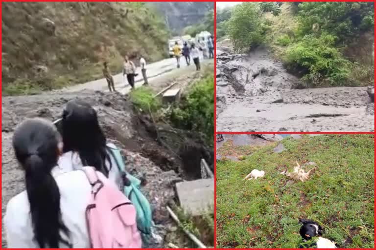 Heavy rain in Kullu