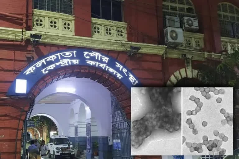 polio virus detected in Kolkata