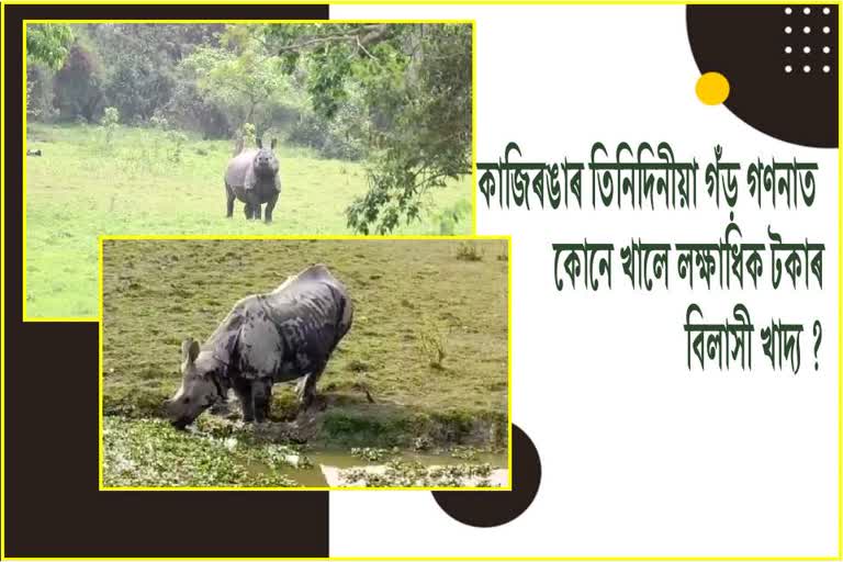 For Rhino census in Kaziranga used huge amount of money