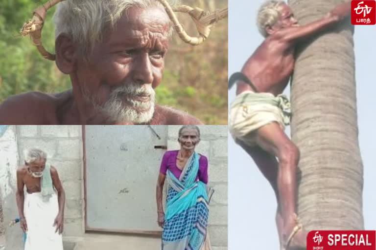 கரம் பிடித்த ஆசை மனைவியை காப்பாற்ற 80 வயதிலும் பனை ஏறும் தாத்தா!