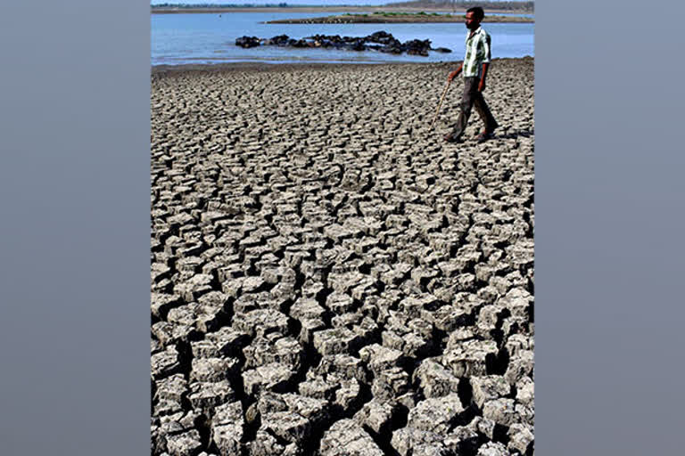 Rajasthan, Nagaland to get Rs 1,043.23 cr for drought occurred in 2021-22