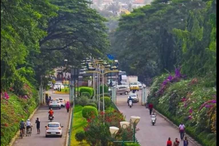 increase of tree cutting in the name of Bangalore development