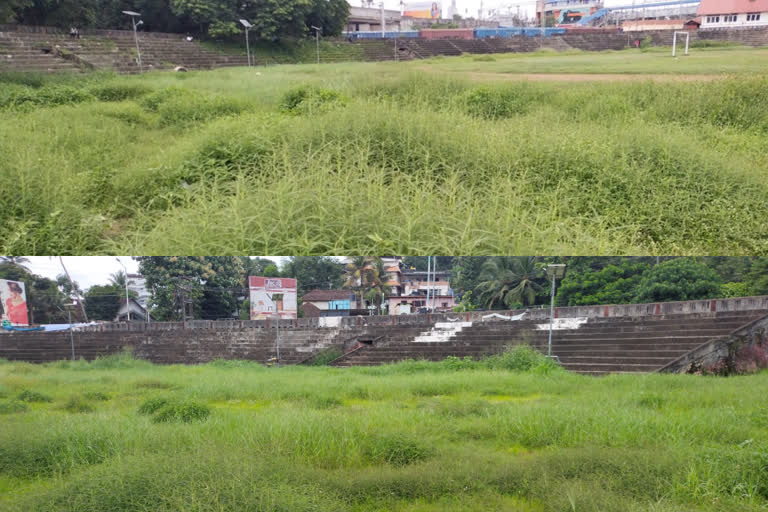 കോട്ടയം നെഹ്റു സ്റ്റേഡിയം  Kottayam Nehru Stadium is being destroyed  നെഹ്റു സ്റ്റേഡിയം കാടു കയറി നശിച്ചിട്ടും തിരിഞ്ഞുനോക്കാതെ അധികൃതർ  കോട്ടയം നെഹ്‌റു സ്റ്റേഡിയത്തിൽ സാമൂഹ്യ വിരുദ്ധ ശല്യം  സാമൂഹ്യ വിരുദ്ധരുടെ താവളമായി കോട്ടയം നെഹ്റു സ്റ്റേഡിയം  Kottayam Nehru Stadium