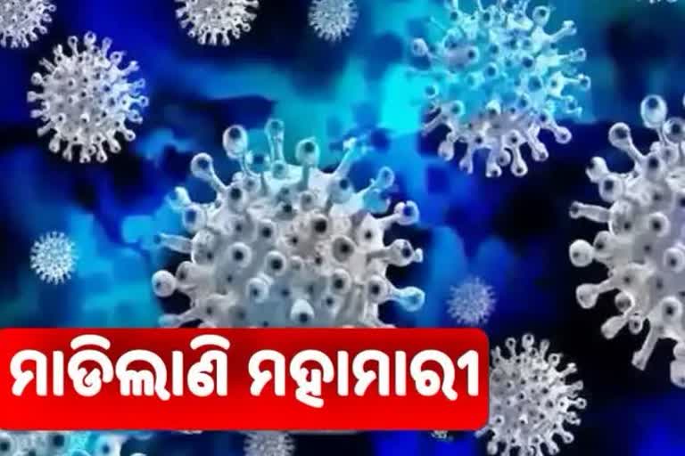 ଦିନକରେ 25 ପଜିଟିଭ