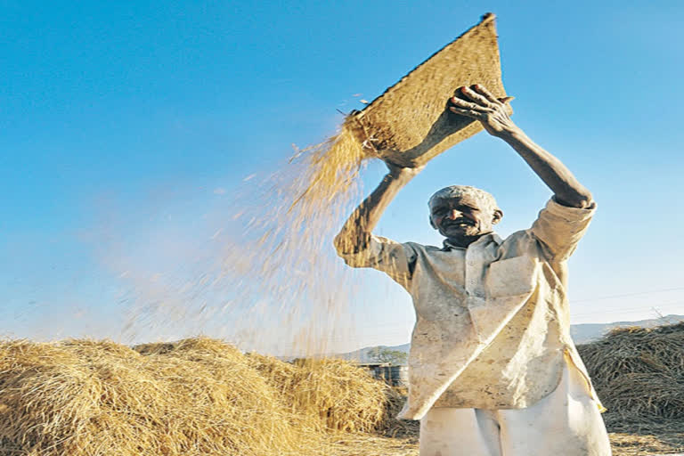 huge delay in payment for grain purchases