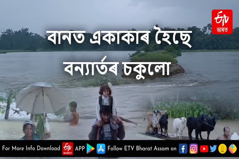 Flood flash in Assam