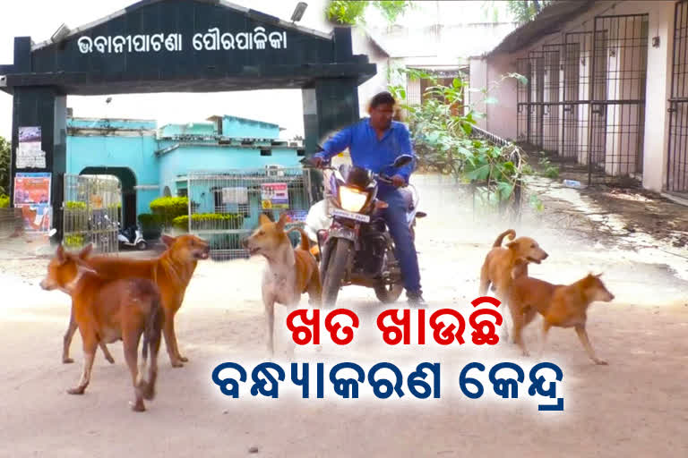 Animal Birth Control Scheme: ଖତ ଖାଉଛି ଲକ୍ଷାଧକର କୁକୁର ବନ୍ଧ୍ୟାକରଣ କେନ୍ଦ୍ର