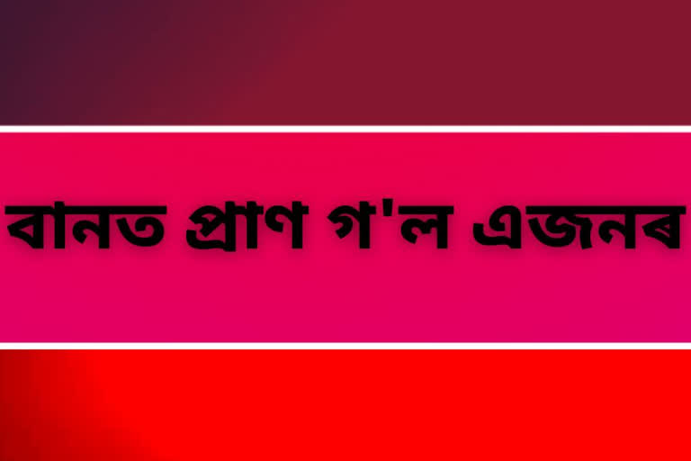 বানৰ সংহাৰ: নলবাৰীত বানে পুনৰ প্ৰাণ ল'লে এজনৰ