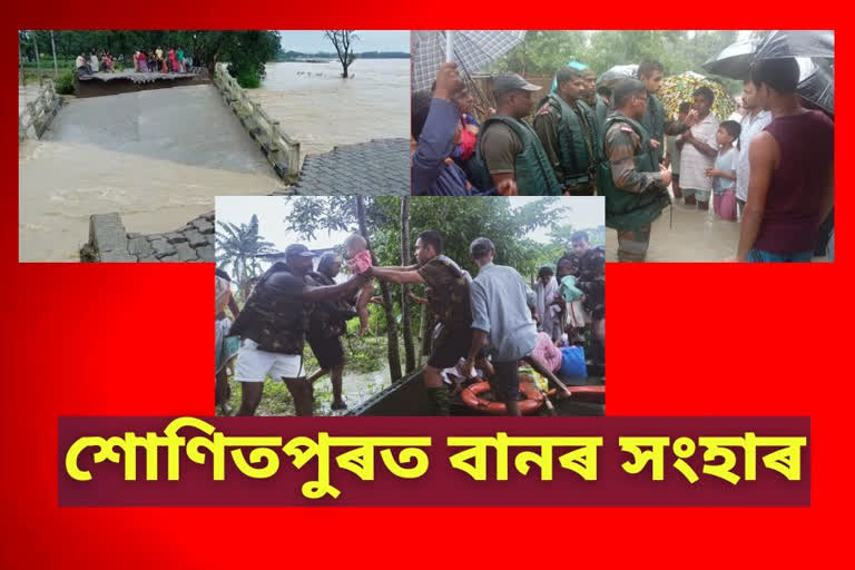 vast area of sonitpur damaged in floods